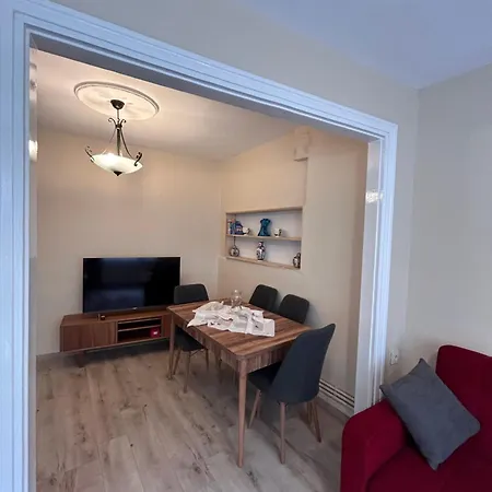 1001 Boutique House 公寓 伊斯坦布尔